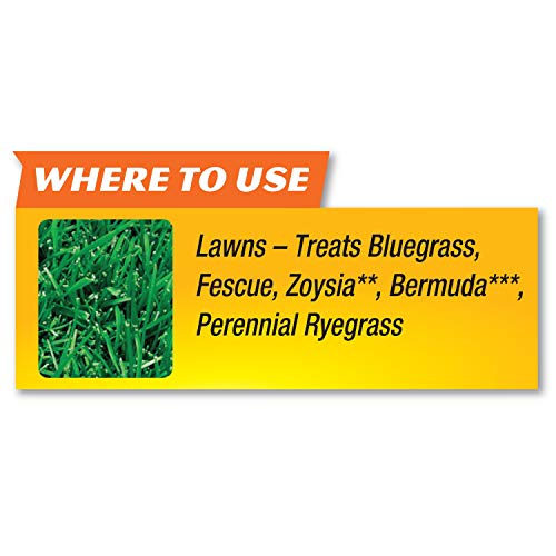 Spectracide HG-96587 Lawn Weed Killer, 1 gal