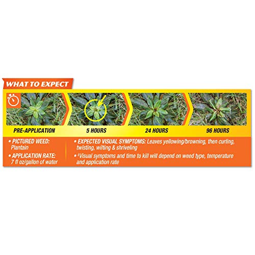Spectracide HG-96587 Lawn Weed Killer, 1 gal