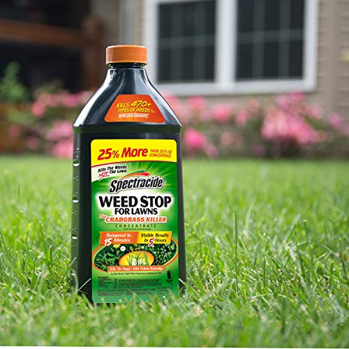 Spectracide HG-96624 Weed Stop for Lawns Plus Crabgrass Killer Con...