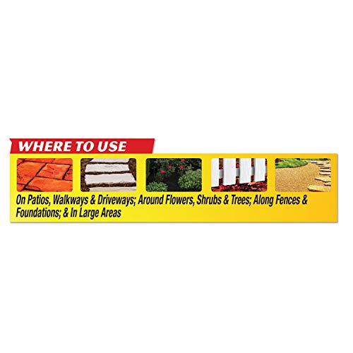 Spectracide Weed & Grass Killer Concentrate, 64 Fl Oz