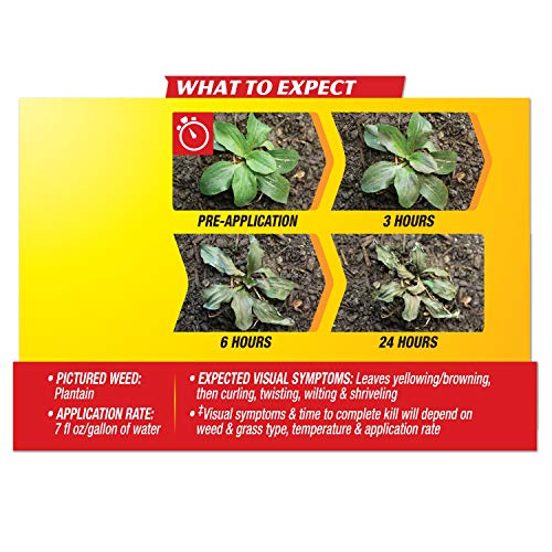 Spectracide Weed & Grass Killer Concentrate, 64 Fl Oz