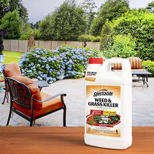 Spectracide Weed & Grass Killer Concentrate, 64 Fl Oz