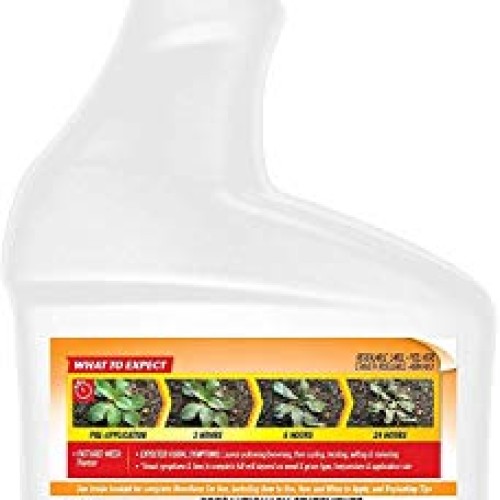 Spectracide Weed & Grass Killer Ready-to-Use HG-96428 32 fl o...