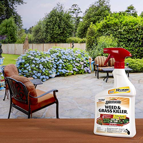 Spectracide Weed & Grass Killer Ready-to-Use HG-96428 32 fl o...
