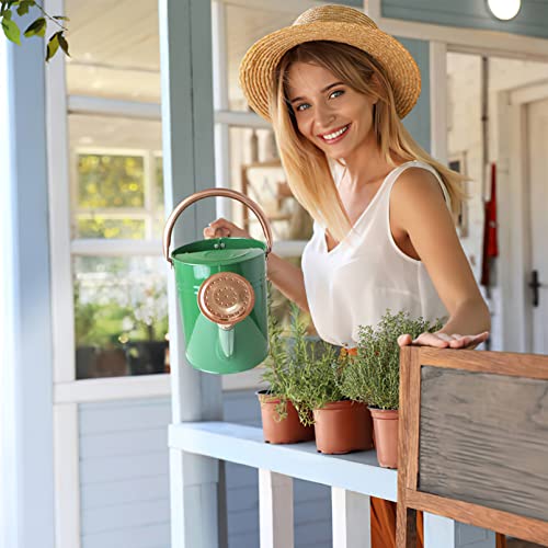 Sporgard 1 Gallon Galvanized Steel Watering Can with Removable Spo...