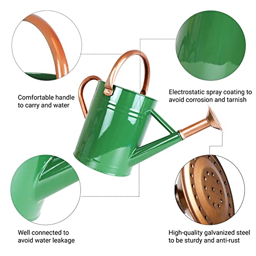 Sporgard 1 Gallon Galvanized Steel Watering Can with Removable Spo...