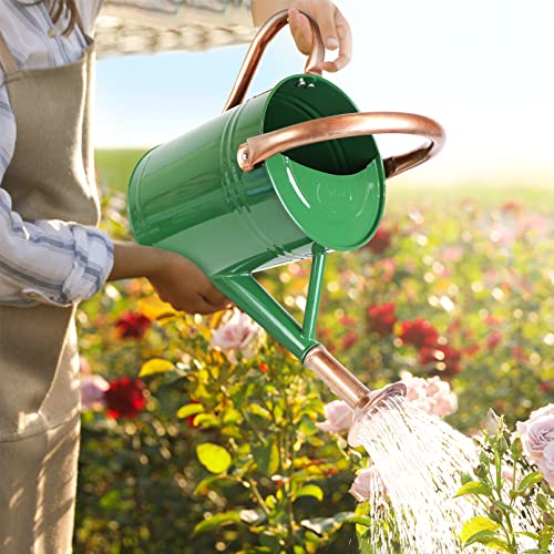 Sporgard 1 Gallon Galvanized Steel Watering Can with Removable Spo...