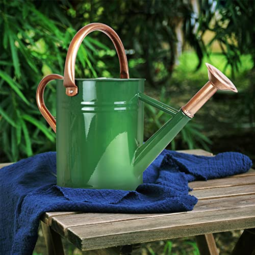 Sporgard 1 Gallon Galvanized Steel Watering Can with Removable Spo...