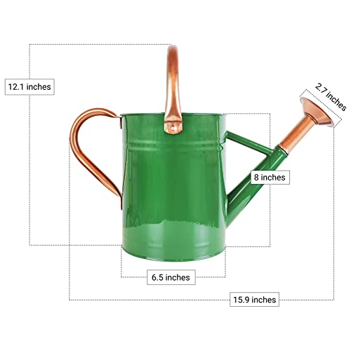 Sporgard 1 Gallon Galvanized Steel Watering Can with Removable Spo...