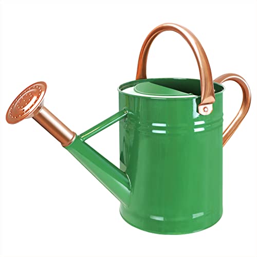 Sporgard 1 Gallon Galvanized Steel Watering Can with Removable Spo...