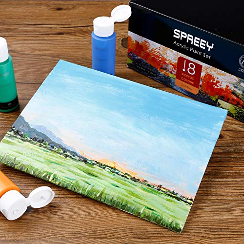SPREEY Acrylic Paint Set of 18 Colors Large 18x59ml 2Oz for Pain...