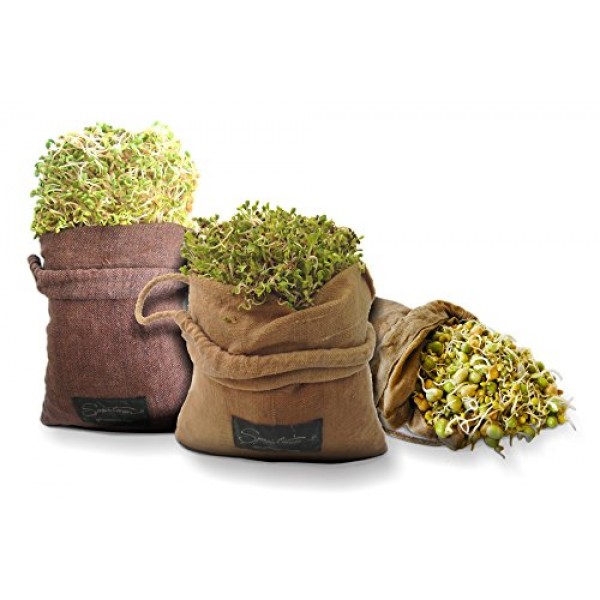 Sproutman Hemp Sprout Bag - Just Dip in Water, Hang It Up, Watch I...