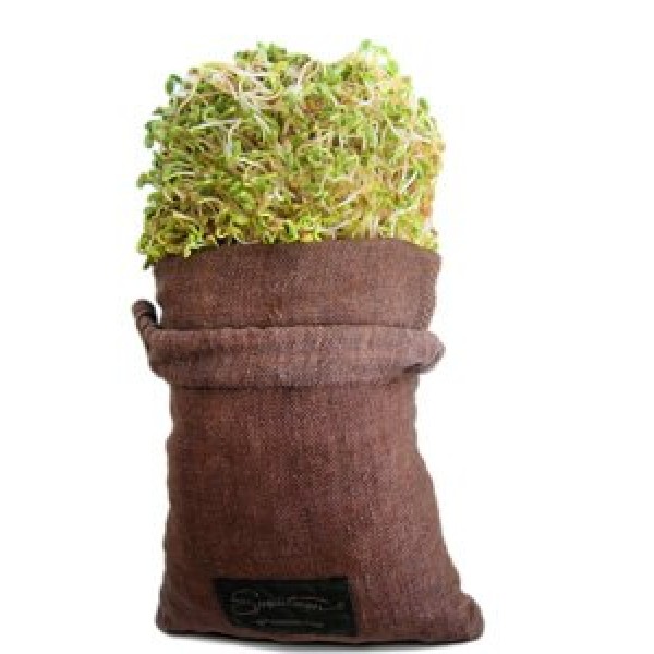 Sproutman Hemp Sprout Bag - Just Dip in Water, Hang It Up, Watch I...