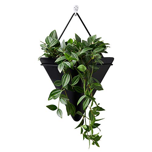 Black Large Wall Hanging Planter, Indoor Wall Decor Geometric Plan...