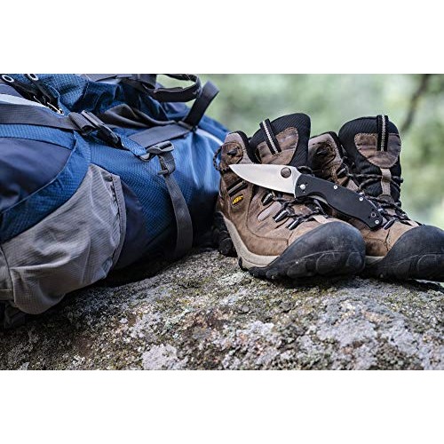 Spyderco Tenacious Lightweight Value Folding Knife with 3.39 Blac...