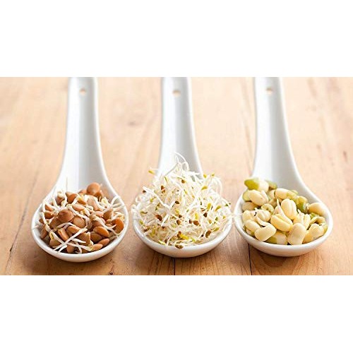 SS Ecom Plastic 4-Tiered Seed Sprouter, Plastic Container Tray Spr...