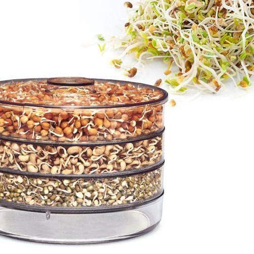 SS Ecom Plastic 4-Tiered Seed Sprouter, Plastic Container Tray Spr...