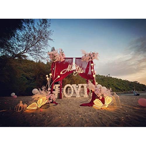 Fairy Lights, 66ft 200 Led Outdoor String Lights, Waterproof Batte...