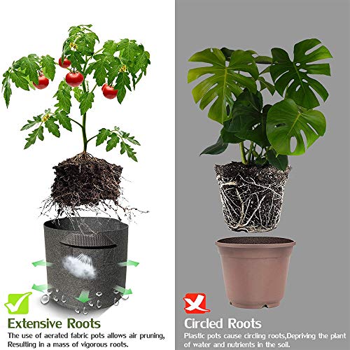 SSXY 1-Pack 65 Gallon Plant Grow Bags, Premium Series Thichkened N...