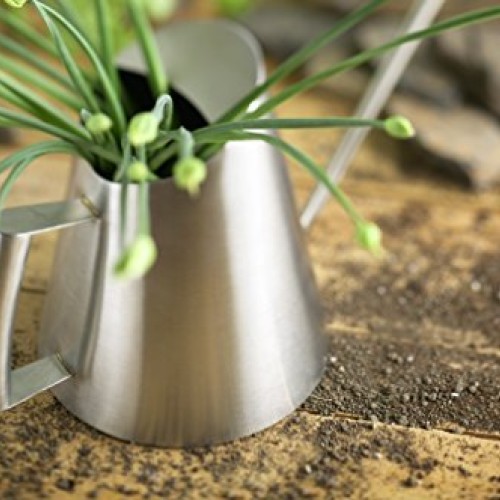 StainlessLUX 72253 Brushed Small Stainless Steel Watering Can 27 ...