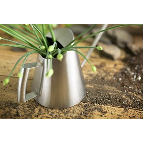 StainlessLUX 72253 Brushed Small Stainless Steel Watering Can 27 ...