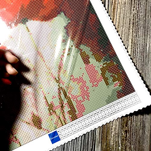 Staroar 5D Diamond Painting Kits for Adults Full Drill Round with ...