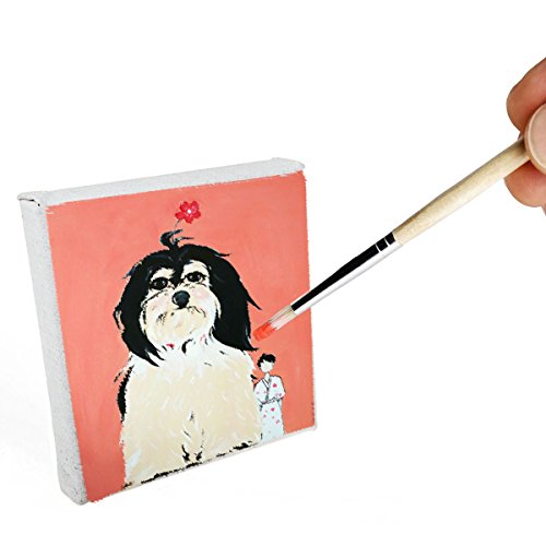 STARVAST Mini Canvas Panels 4 X 4 Pack Of 24, Cotton Stretched Ca...