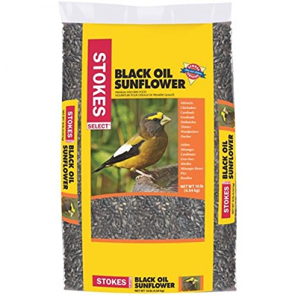 Stokes Select STK5434-10 Premium Black Oil Sunflower 10 lbs