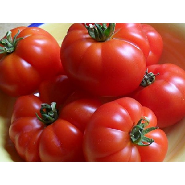 Heirloom Marmande Tomato Seeds by Stonysoil Seed Company
