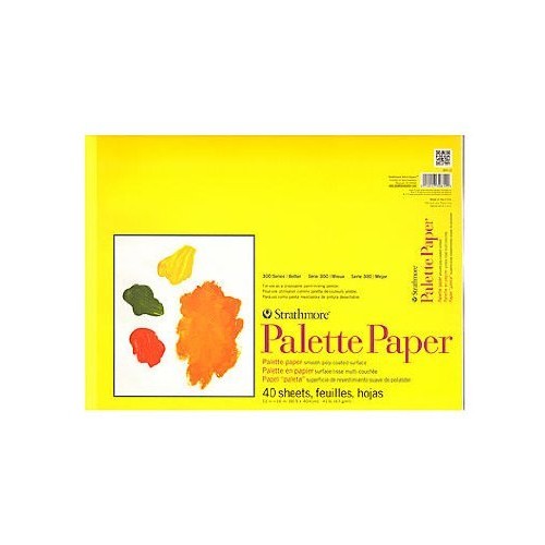 Strathmore 365-12 300 Series Paper STR-365-12 40 Sheet Disposable ...