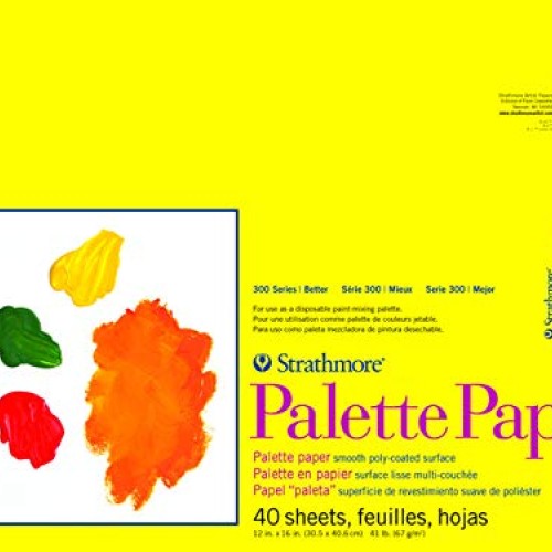 Strathmore 365-12 300 Series Paper STR-365-12 40 Sheet Disposable ...