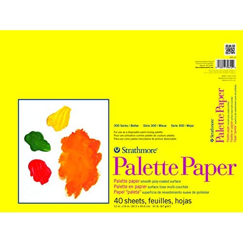 Strathmore 365-12 300 Series Paper STR-365-12 40 Sheet Disposable ...