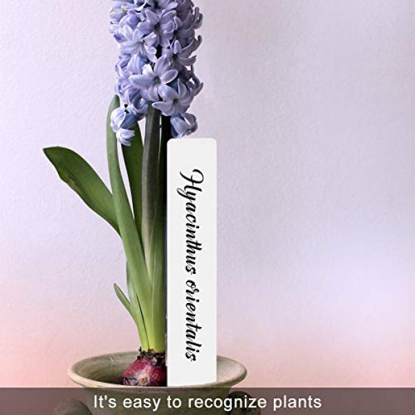 SumDirect 100pcs 1x6 Inches Plastic Waterproof Plant Tags, Double ...