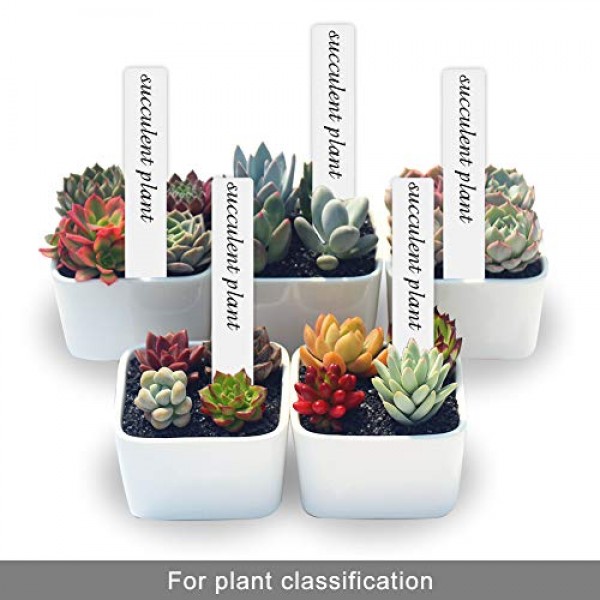 SumDirect 100pcs 1x6 Inches Plastic Waterproof Plant Tags, Double ...