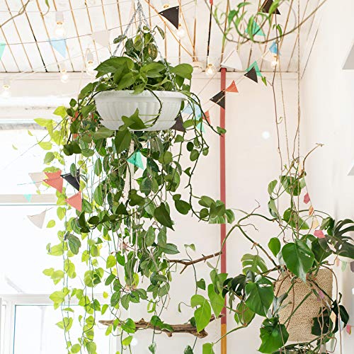 3pcs 12.59 Large Hanging Planters Hanging Flower Pots Plastic Pla...