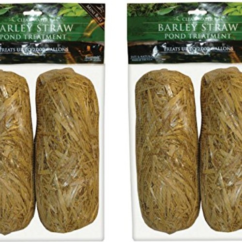 Summit 130 Clear-water Barley Straw Bales, 2 Packs of 2- 4 total