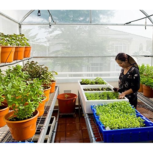 Suncover Greenhouse Plastic Film Clear Polyethylene 6 mil 4 Year U...