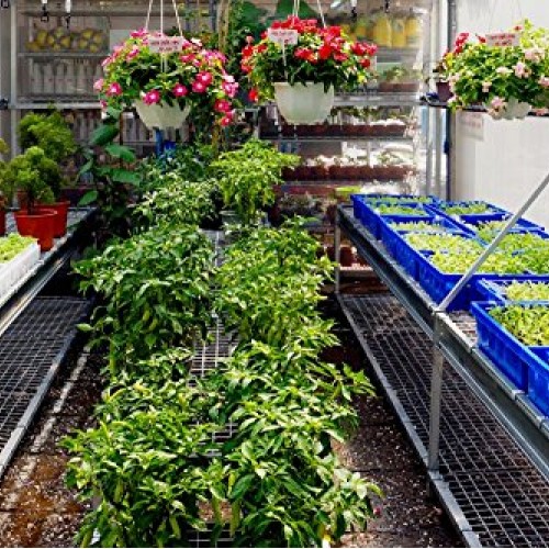 Suncover Greenhouse Plastic Film Clear Polyethylene 6 mil 4 Year U...