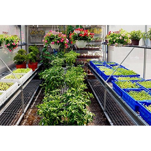 Suncover Greenhouse Plastic Film Clear Polyethylene 6 mil 4 Year U...