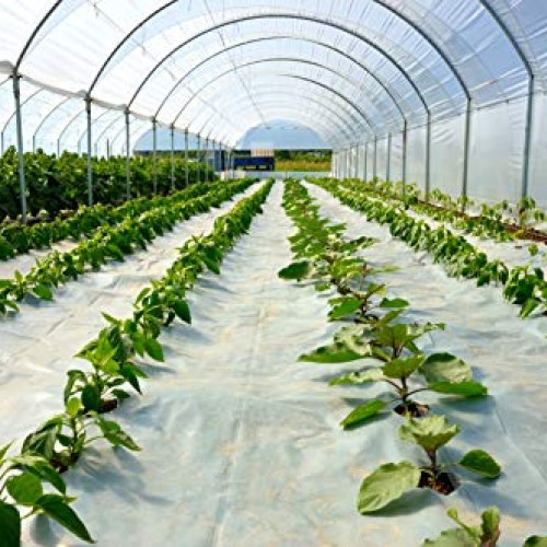 Suncover Greenhouse Plastic Film Clear Polyethylene 6 mil 4 Year U...