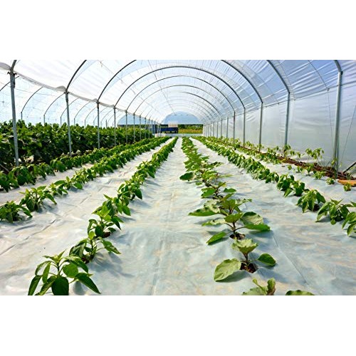 Suncover Greenhouse Plastic Film Clear Polyethylene 6 mil 4 Year U...