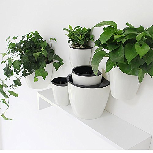 Sungmor Self Watering Wall Planter - Modern White & 3PC Pack & Med...