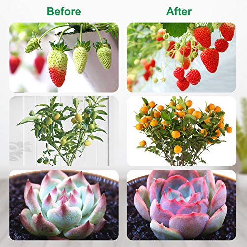 Grow Lights for Indoor Plants, LED Grow Lights with Stand, 4 Head ...