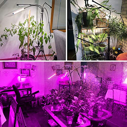 Grow Lights for Indoor Plants, LED Grow Lights with Stand, 4 Head ...