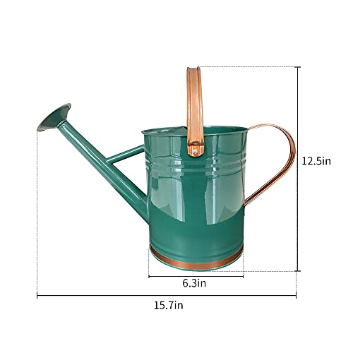Metal Watering Can for Outdoor and Indoor Plants, Watering Can Dec...