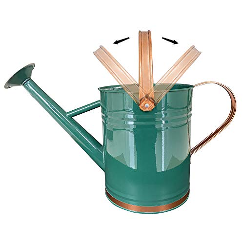 Metal Watering Can for Outdoor and Indoor Plants, Watering Can Dec...