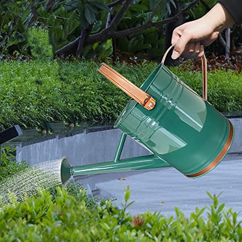 Metal Watering Can for Outdoor and Indoor Plants, Watering Can Dec...