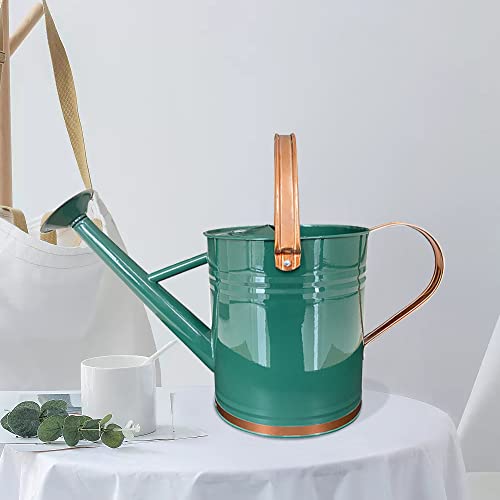 Metal Watering Can for Outdoor and Indoor Plants, Watering Can Dec...