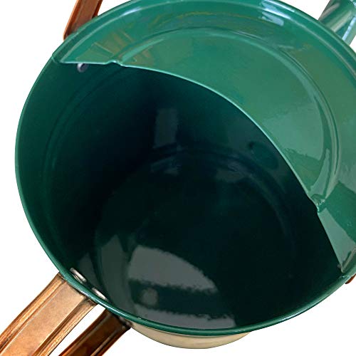 Metal Watering Can for Outdoor and Indoor Plants, Watering Can Dec...