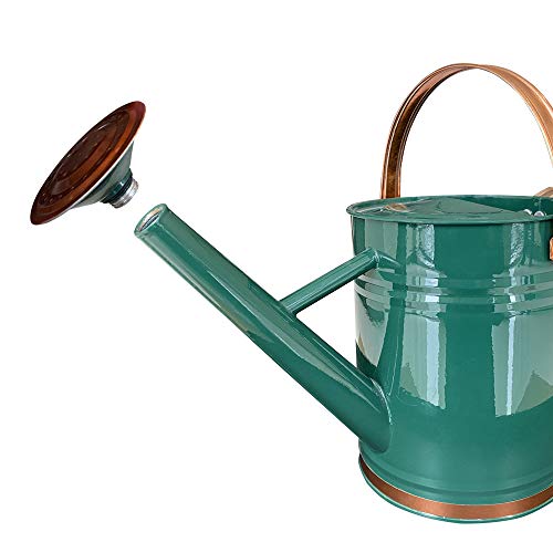 Metal Watering Can for Outdoor and Indoor Plants, Watering Can Dec...